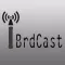 ibrdcast برودكاست
