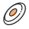 FrisbeeBloomBrilliance