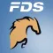 FDS Smart Jumping