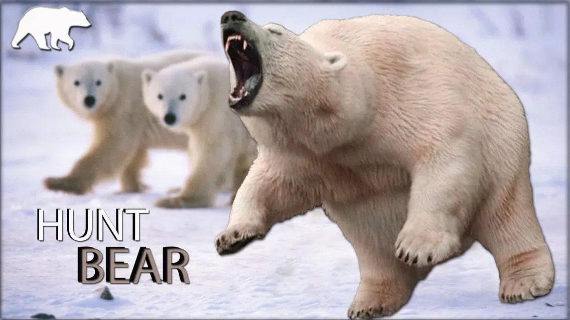 صور Hunt The Wild Bear - 2017