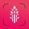 Comida: Meal Logger