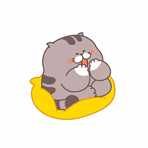 Dull Cat Card Dull Cat Card