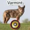 200+ Varmint Calls