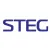 STEG DSP
