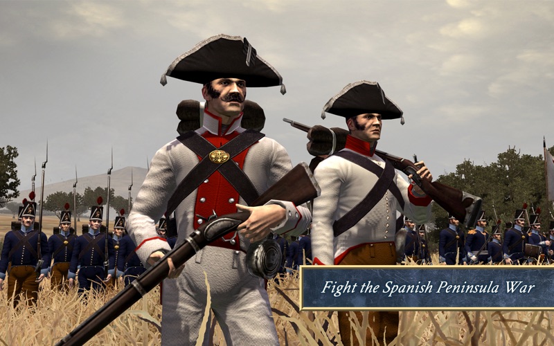 Total War: NAPOLEON應用截圖