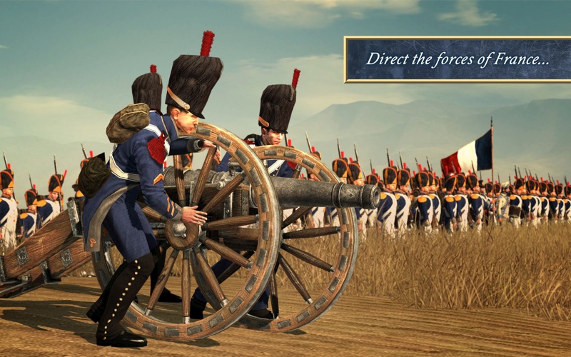 Total War: NAPOLEON應用截圖