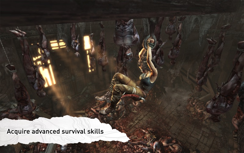 Tomb Raider应用截图