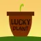 LUCKY PLANT - Change your luck!