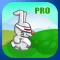 Bunny Scape Pro