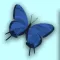 Butterfly Garden 3D