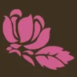 La Rose des Sens