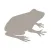 Fieldstone Guide: Amphibians