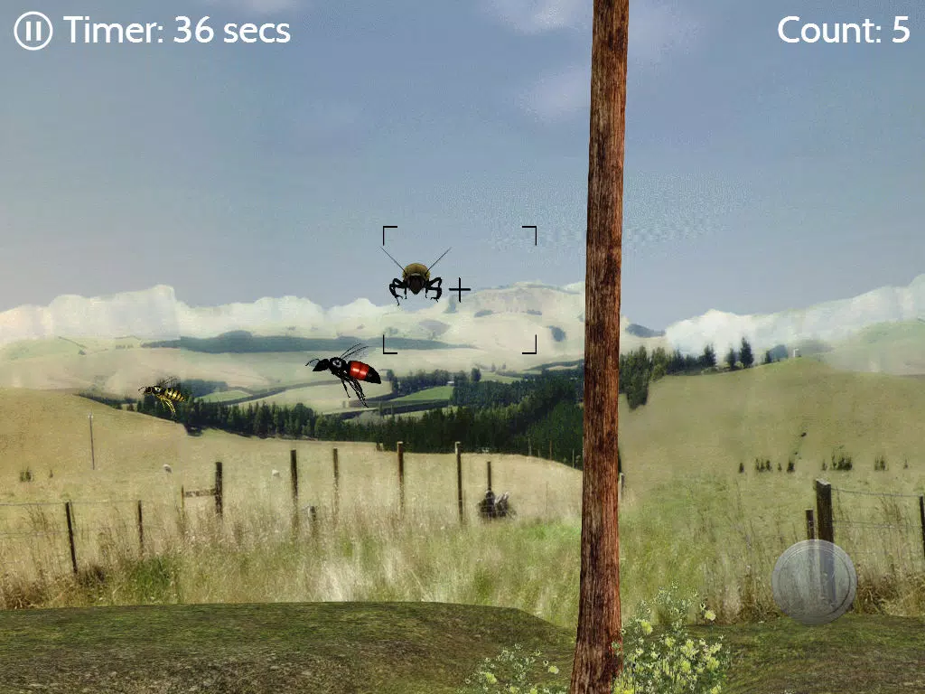 Catch N Shoot iPad  Screenshots