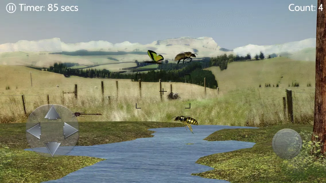 Catch N Shoot Screenshots