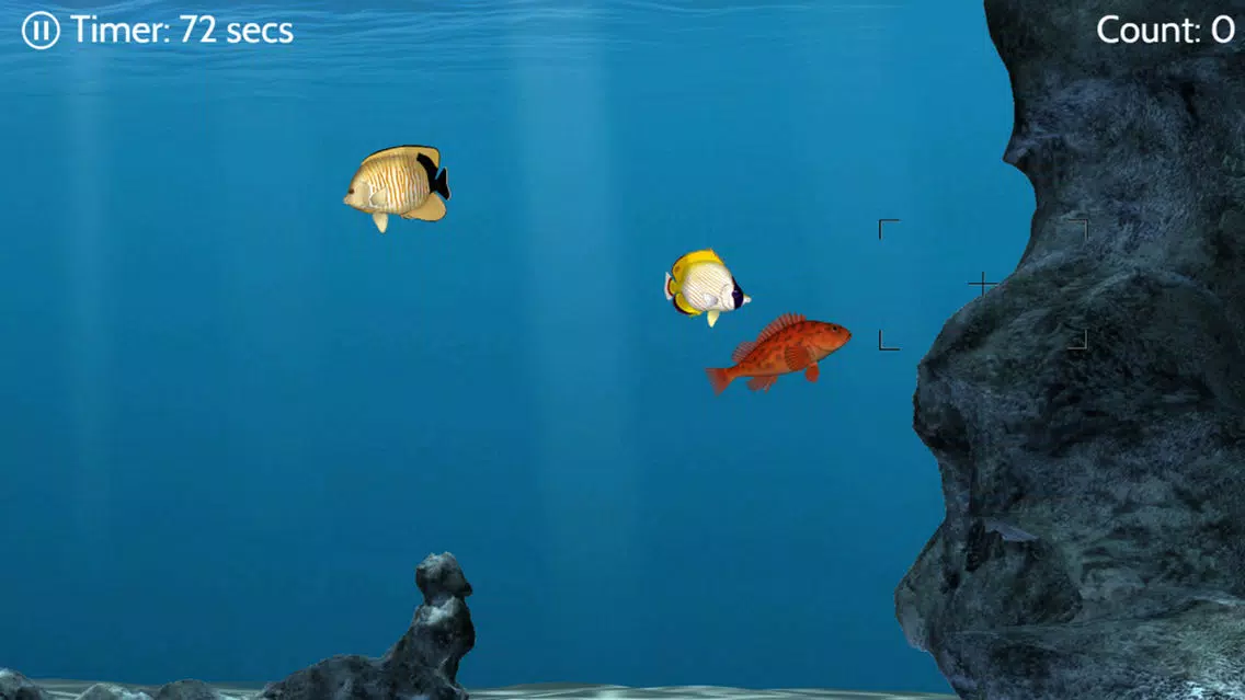 Zrzuty ekranu Catch N Shoot 2