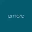 Antara Antara