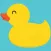 Ducky Go Go