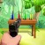 Bottle Shooter Pro Aim Master