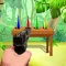 Bottle Shooter Pro Aim Master
