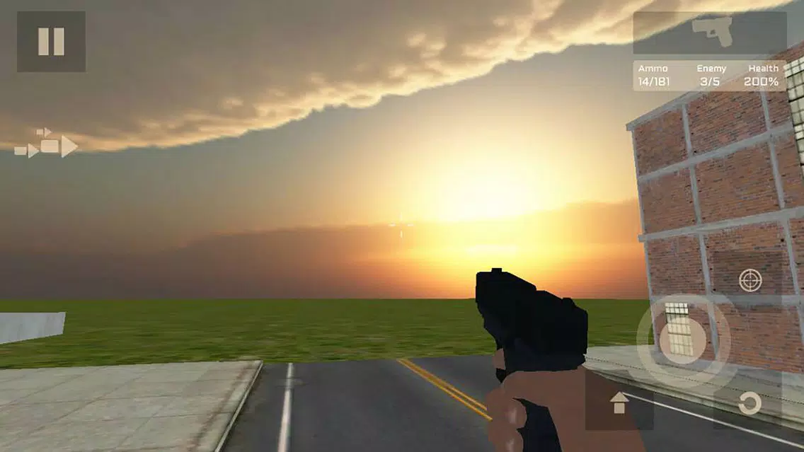 City Criminal Shooter 스크린샷