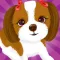 Dog Surfer : Pet Run