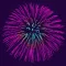 Amazing Fireworks