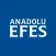 Anadolu Efes IR
