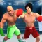 Boxing KO: The Career Boxer
