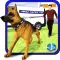 Animal Control Van Simulator & Truck Steering Game