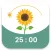 Sunflower: Pomodoro Focus App