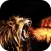 Fire Lion Wallpaper