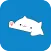 Bongo Cat Musical Instruments