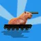Capybara Tank