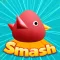 Cool Birds Game - Fun Smash