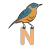 Nightingale Staffing Solution