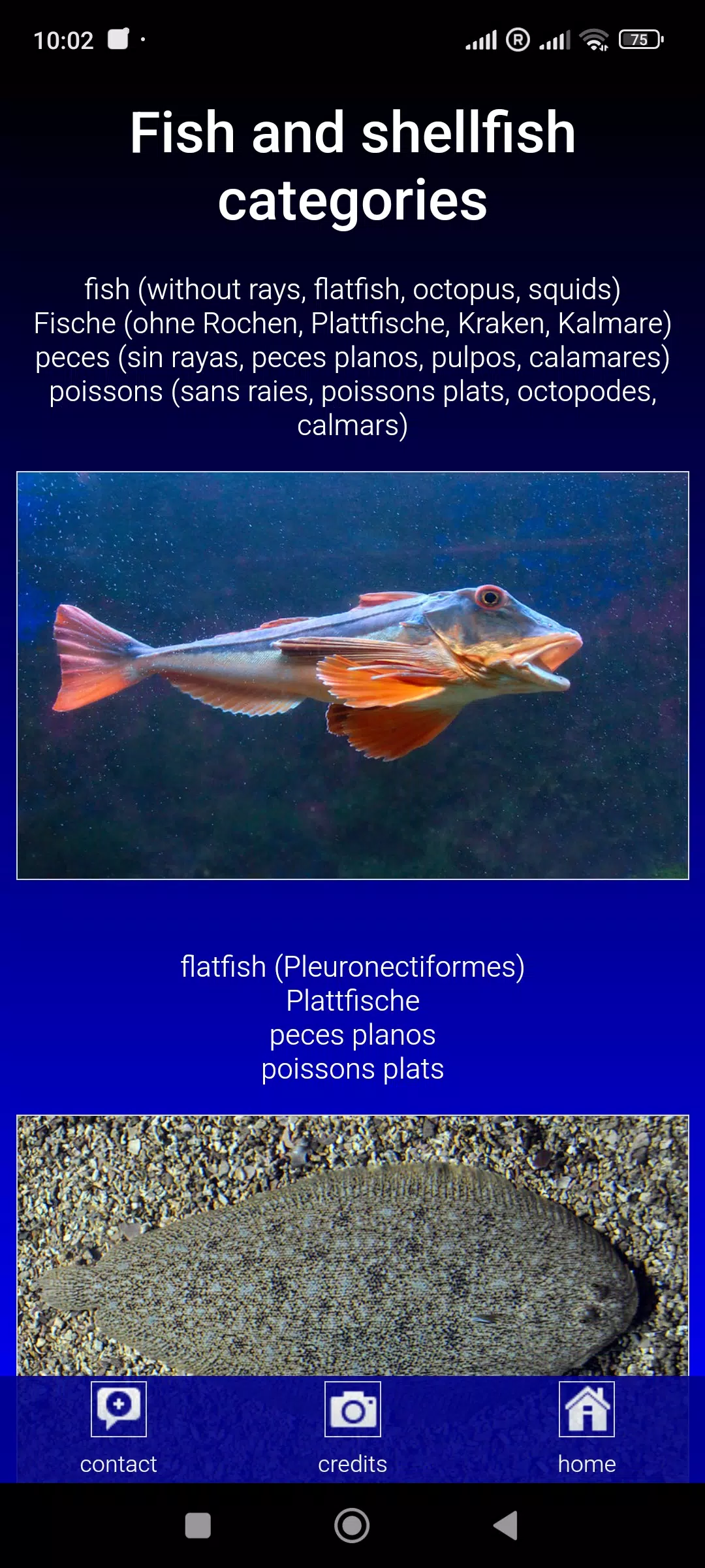 Sea fish of the North Atlantic Screenshots
