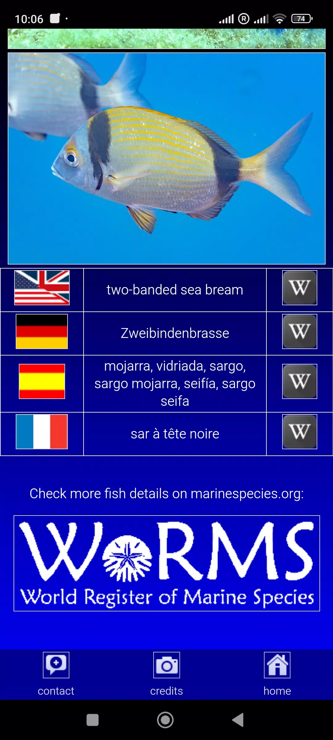Sea fish of the North Atlantic Screenshots