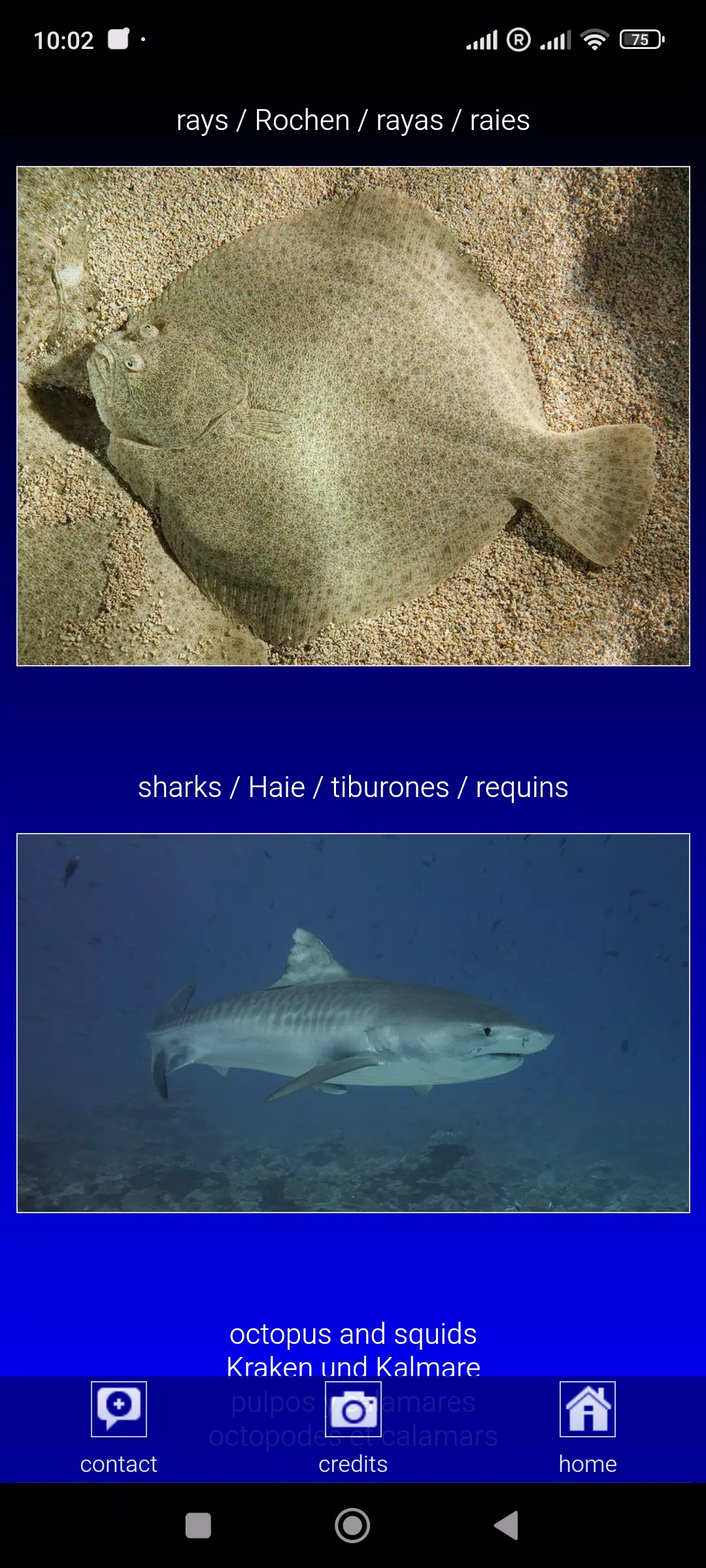 Sea fish of the North Atlantic Screenshots
