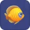 Feeding Fish!