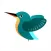 KingfisherPro