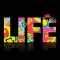 Oblo Life Connect