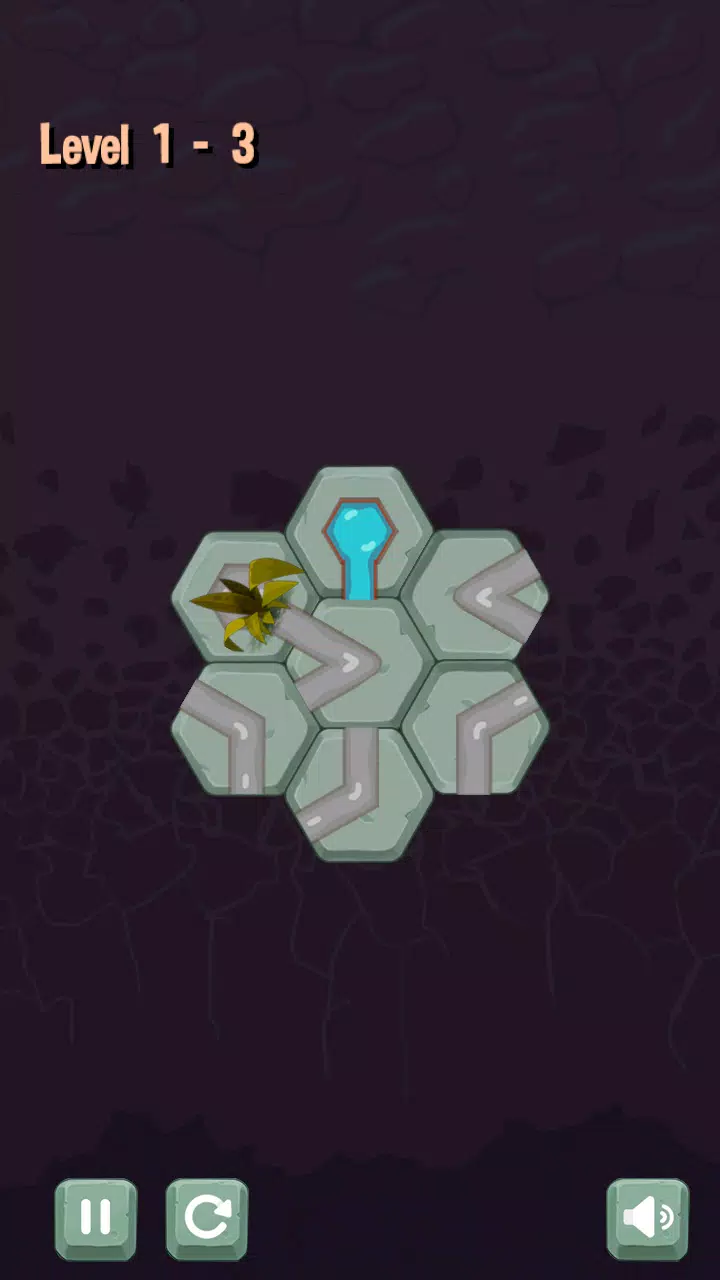 Pipe Path Puzzler Screenshots