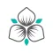 Thrive Yoga & Wellness