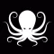 Evol Octopus Jiu-Jitsu Academy