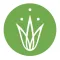 Grassroots Yoga - Ventura, Ca