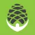Pinehurst Fitness