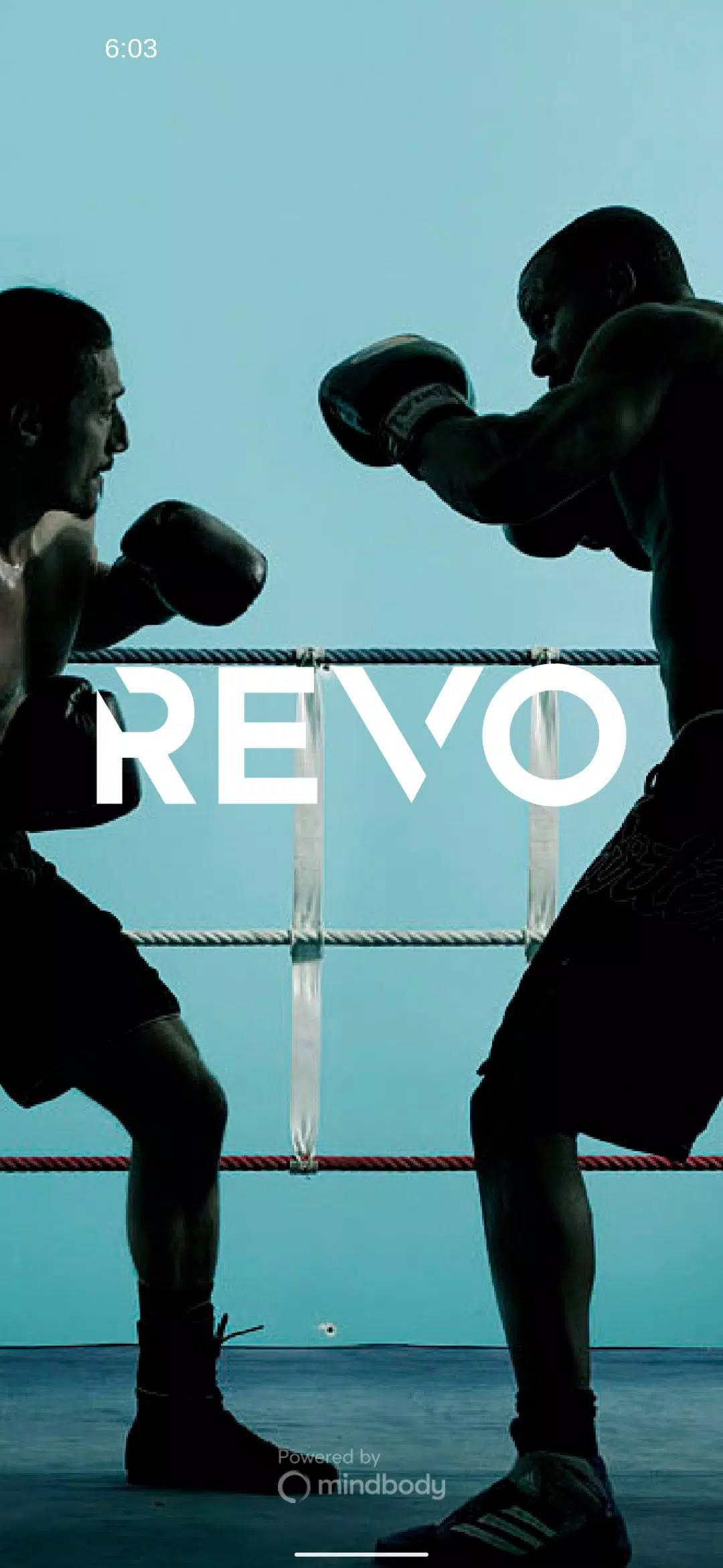 REVO Screenshots