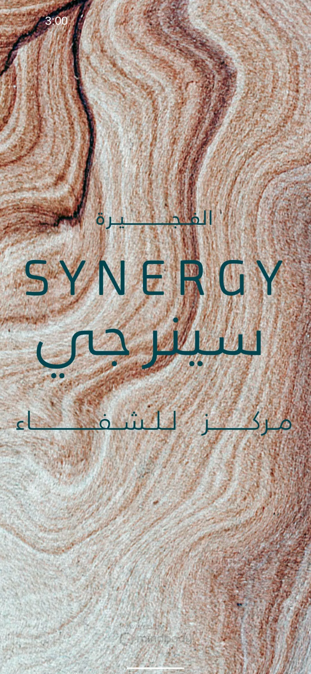 SYNERGY Screenshots