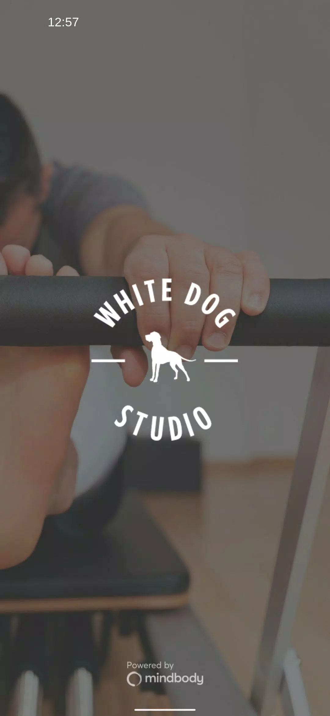 White Dog Studio Screenshots