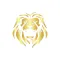 Lion Fitness (India)